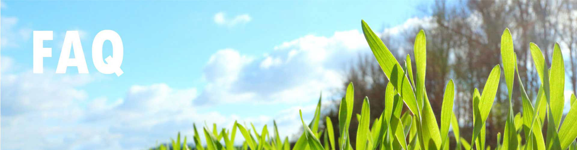 Organic Food Ingredients FAQ