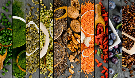 Driving Excellence: The Production Powerhouse of Yantai Zhaoyi Biochnology