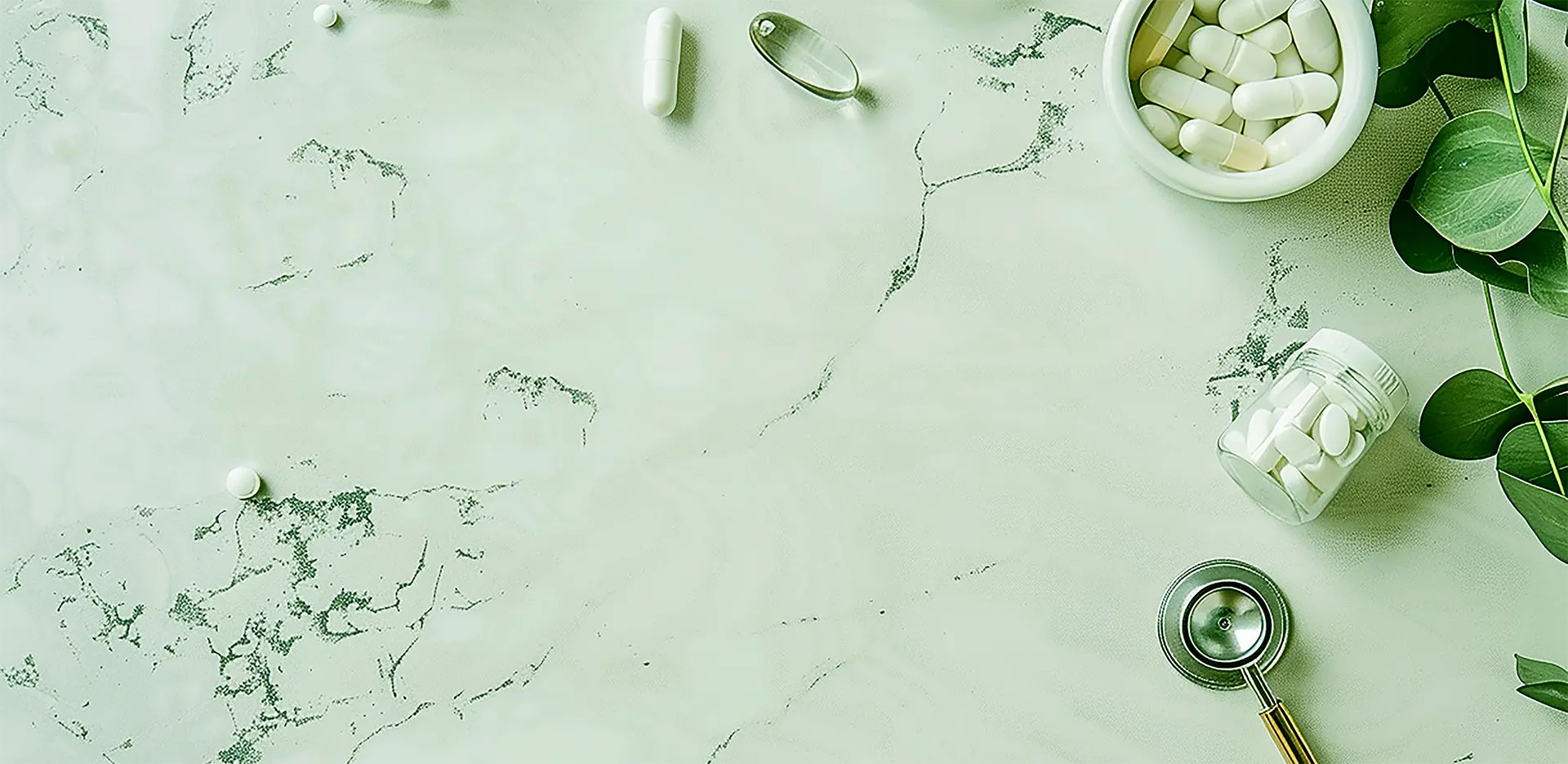 ZhaoYI BIO: Your Trusted Source For Nutritional Supplements And Food Ingredients