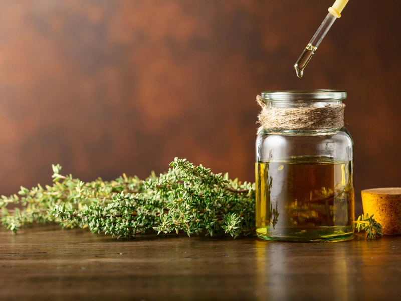 Food Ingredient Company - ZhaoYI BIO