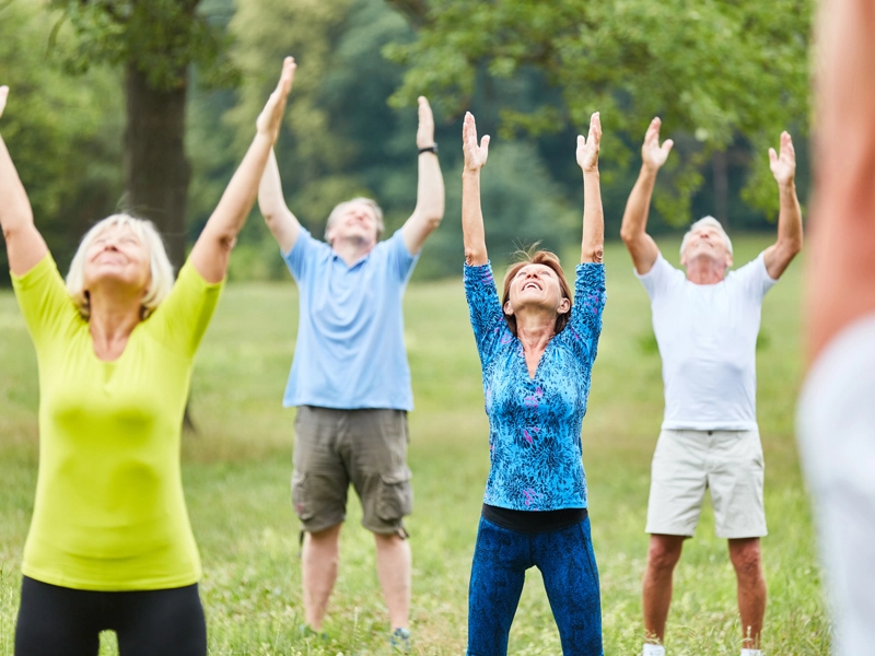 Raw Supplement Ingredient Applied in Active Nutrition