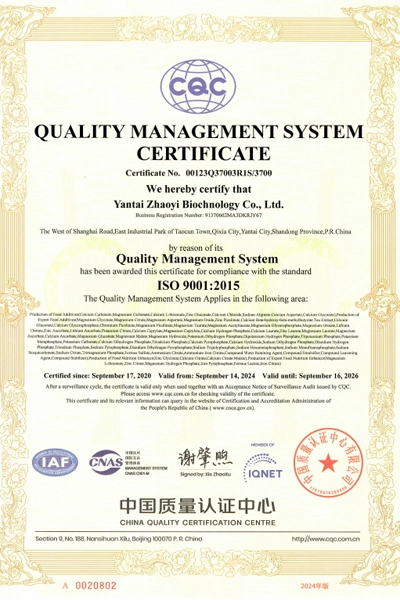 ISO9001