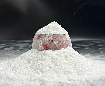 Pharmaceutical Excipients