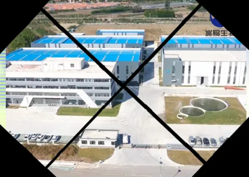 Welcome to Zhaoyi Bio, witness precision design at the molecular level