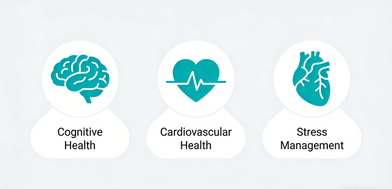 cognitive-health.png cognitive-health.png